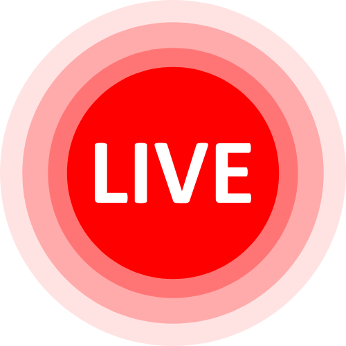 Pamela Evans Webcam